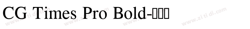 CG Times Pro Bold字体转换